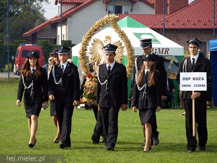 XVIII Podkarpacki Konkurs Wieńca Dożynkowego 2014 - część I