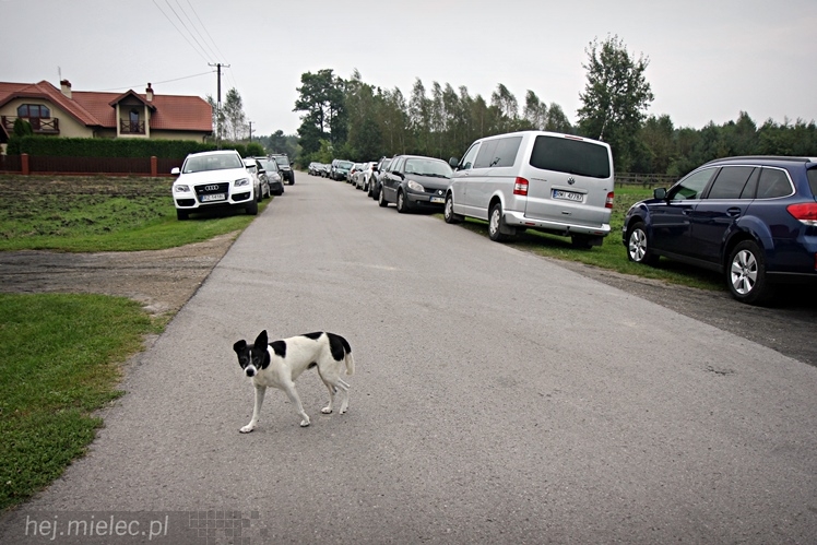 Otwarcie drogi dojazdowej do Łuża