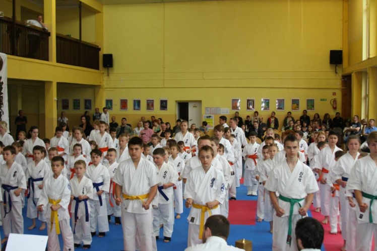 Mielecki Klub Karate Shinkyokushin ?SAIHA?: Liczą się kolejne wyzwania. Chcesz dołączyć?