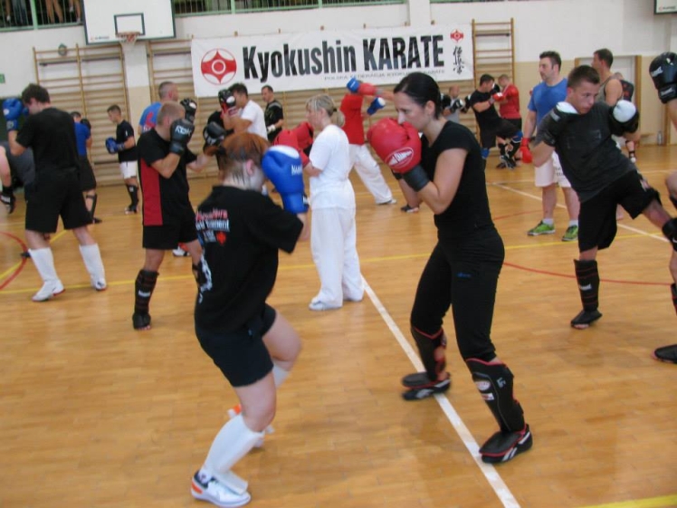 Mielecki Klub Karate Shinkyokushin ?SAIHA?: Liczą się kolejne wyzwania. Chcesz dołączyć?