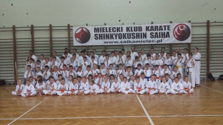 Mielecki Klub Karate Shinkyokushin ?SAIHA?: Liczą się kolejne wyzwania. Chcesz dołączyć?