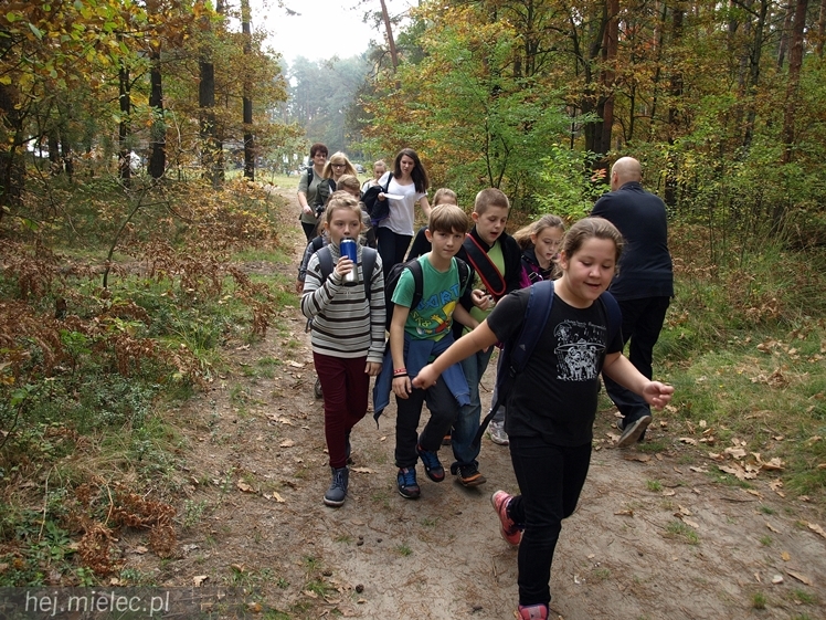 Mielczanie sprawdzili się w zawodach na orientację ? II Mielecki Zielony Punkt Kontrolny za nami