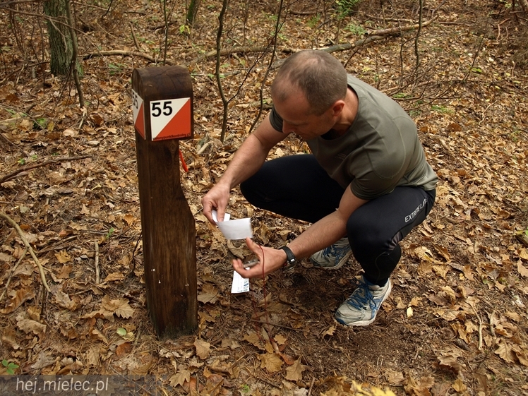 Mielczanie sprawdzili się w zawodach na orientację ? II Mielecki Zielony Punkt Kontrolny za nami