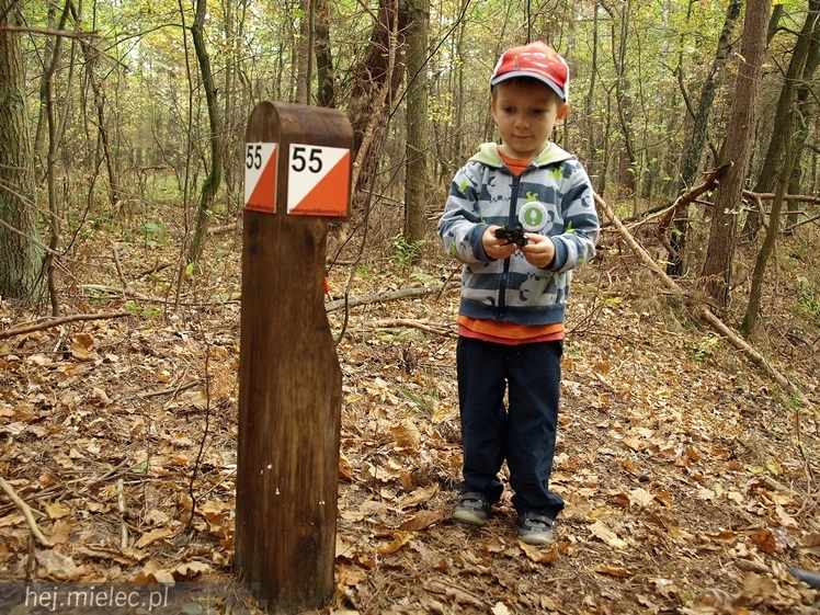 Mielczanie sprawdzili się w zawodach na orientację ? II Mielecki Zielony Punkt Kontrolny za nami