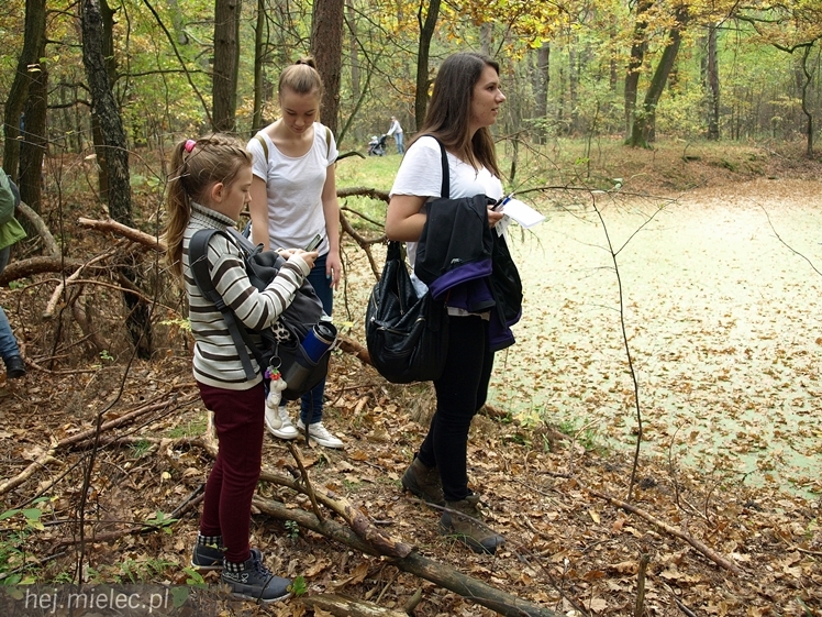 Mielczanie sprawdzili się w zawodach na orientację ? II Mielecki Zielony Punkt Kontrolny za nami
