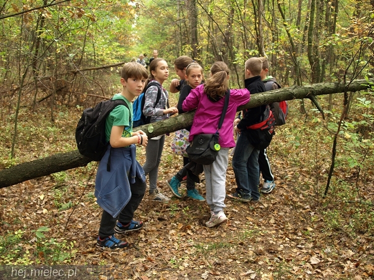 Mielczanie sprawdzili się w zawodach na orientację ? II Mielecki Zielony Punkt Kontrolny za nami