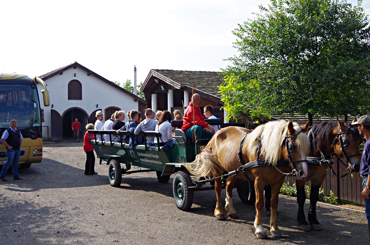 Stowarzyszenie Seniorów ZPiT ?RZESZOWIACY? na szolnockim Festiwalu Gulaszu