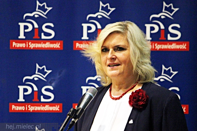 Powiatowa Konwencja Wyborcza Prawa i Sprawiedliwości 2014