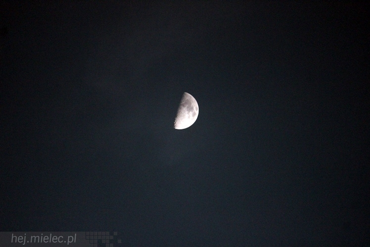 FKS Stal Mielec - KS Górnik Wałbrzych 3:1