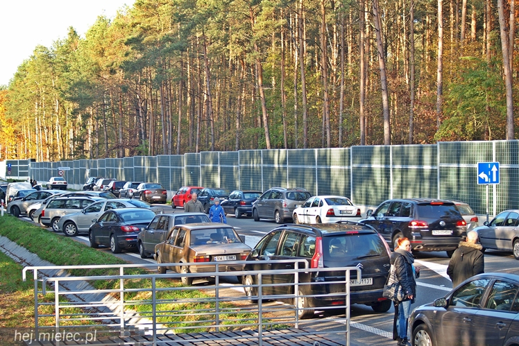 Dzień Wszystkich Świętych na Cmentarzy Komunalnym