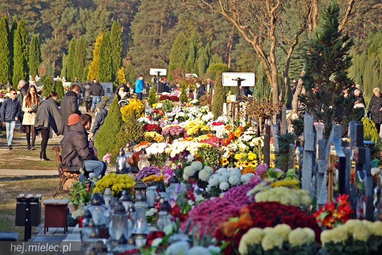 Dzień Wszystkich Świętych na Cmentarzy Komunalnym