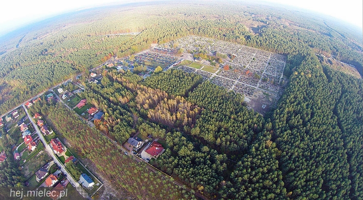 Cmentarz Komunalny z lotu ptaka: jak wielka jest to nekropolia