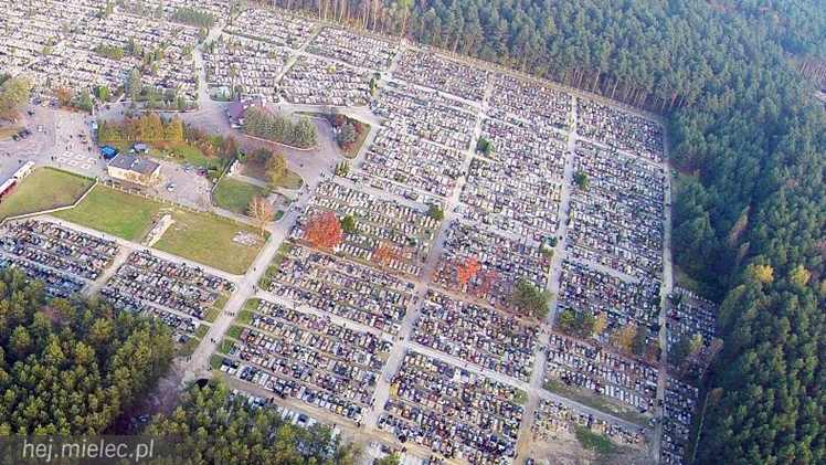 Cmentarz Komunalny z lotu ptaka: jak wielka jest to nekropolia