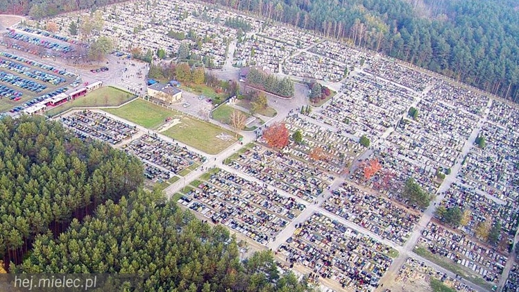 Cmentarz Komunalny z lotu ptaka: jak wielka jest to nekropolia