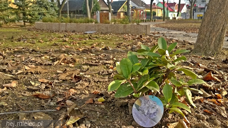 Rynek Rzochowski zyskał nowy wygląd [FOTO]