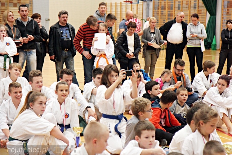 V Ogólnopolski Turniej Ziemi Mieleckiej Shorin-Ryu Karate w Mielcu