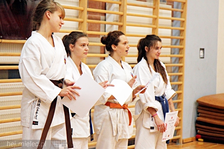 V Ogólnopolski Turniej Ziemi Mieleckiej Shorin-Ryu Karate w Mielcu