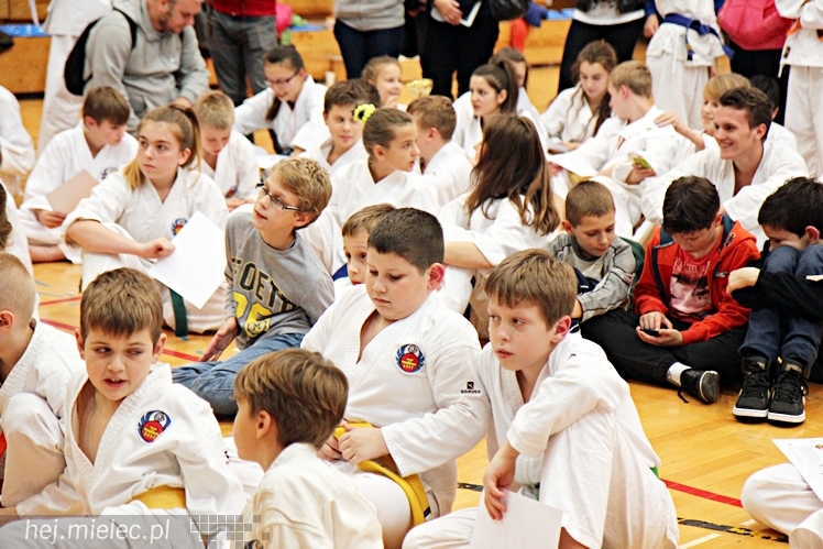 V Ogólnopolski Turniej Ziemi Mieleckiej Shorin-Ryu Karate w Mielcu