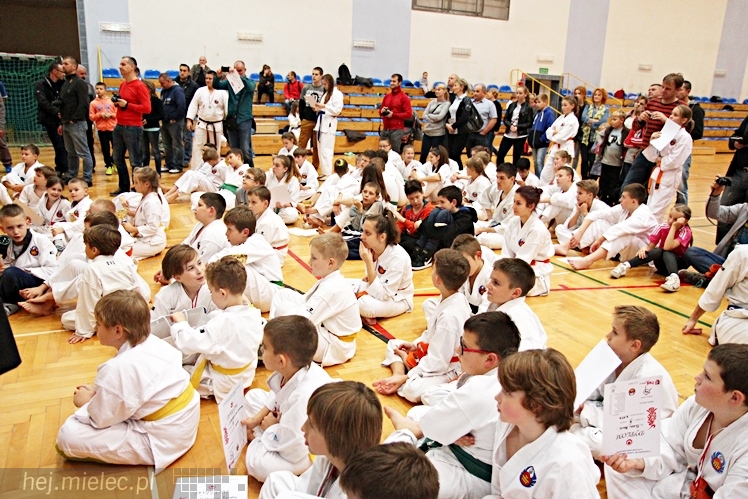 V Ogólnopolski Turniej Ziemi Mieleckiej Shorin-Ryu Karate w Mielcu