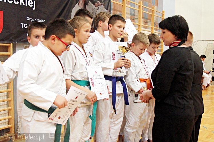 V Ogólnopolski Turniej Ziemi Mieleckiej Shorin-Ryu Karate w Mielcu