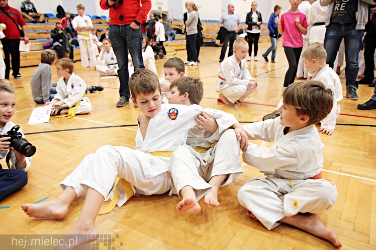 V Ogólnopolski Turniej Ziemi Mieleckiej Shorin-Ryu Karate w Mielcu