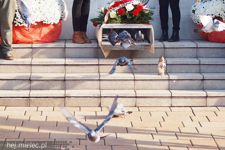 Dzień Niepodległości w Mielcu