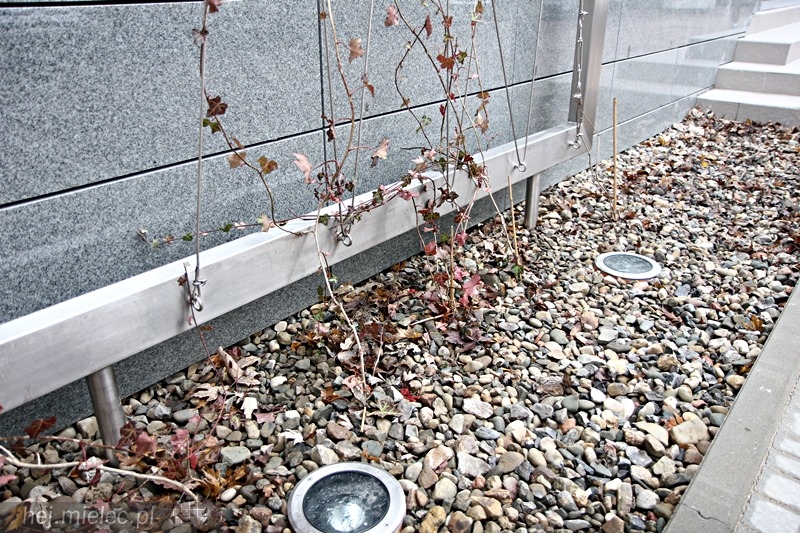 Tarasy SCK zyskały nowe oblicze, wiosną się zazielenią