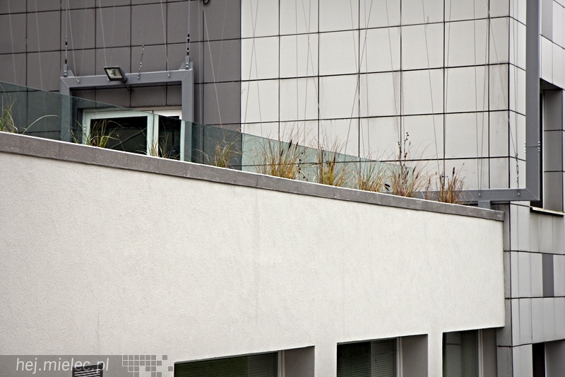 Tarasy SCK zyskały nowe oblicze, wiosną się zazielenią