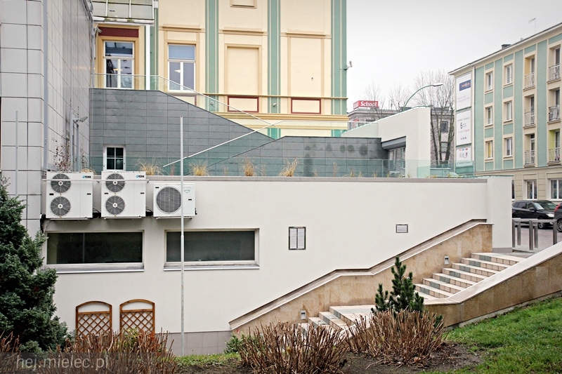 Tarasy SCK zyskały nowe oblicze, wiosną się zazielenią