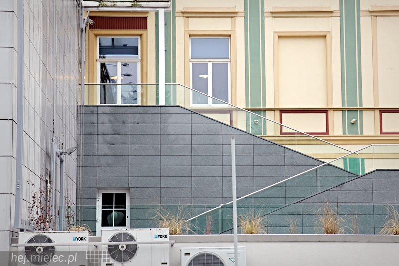 Tarasy SCK zyskały nowe oblicze, wiosną się zazielenią