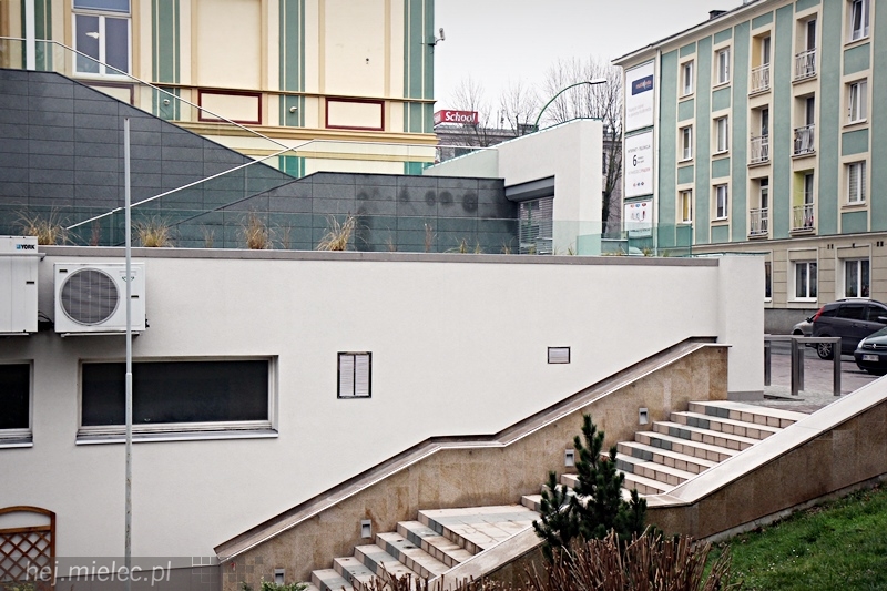 Tarasy SCK zyskały nowe oblicze, wiosną się zazielenią