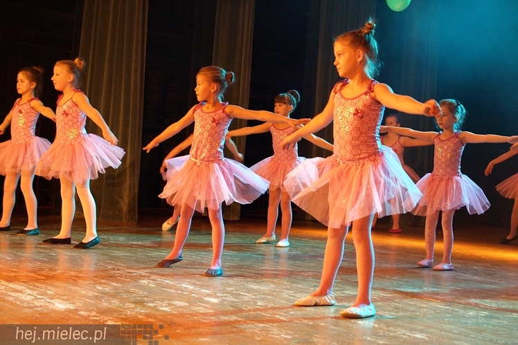 XIII Przegląd Zespołów Tanecznych ?Pasikonik 2014?