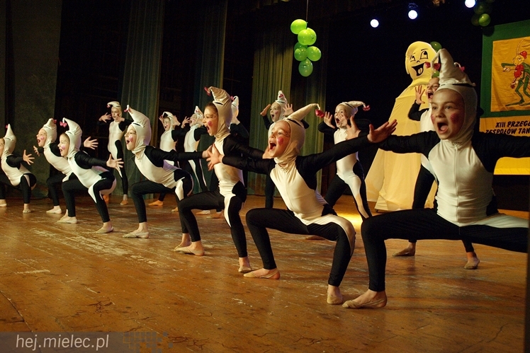 XIII Przegląd Zespołów Tanecznych ?Pasikonik 2014?