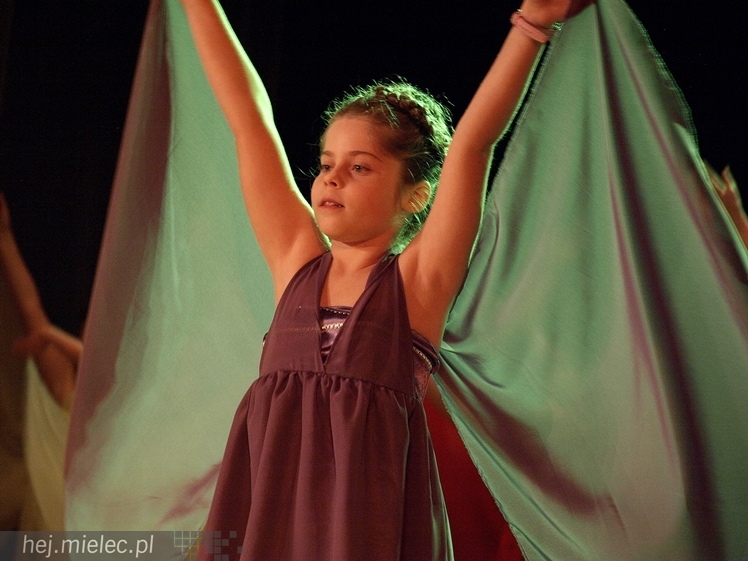 XIII Przegląd Zespołów Tanecznych ?Pasikonik 2014?