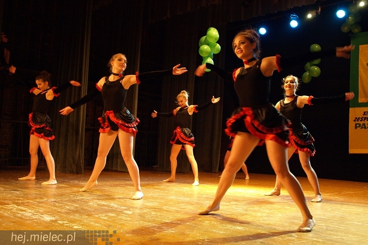 XIII Przegląd Zespołów Tanecznych ?Pasikonik 2014?