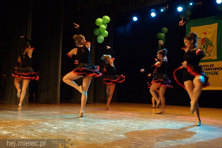 XIII Przegląd Zespołów Tanecznych ?Pasikonik 2014?