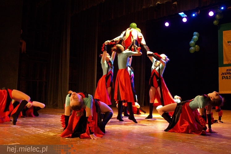 XIII Przegląd Zespołów Tanecznych ?Pasikonik 2014?