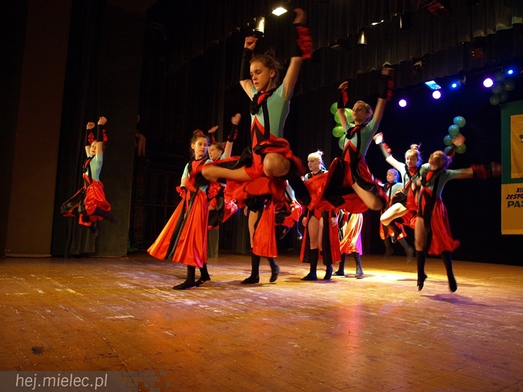 XIII Przegląd Zespołów Tanecznych ?Pasikonik 2014?