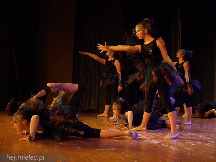 XIII Przegląd Zespołów Tanecznych ?Pasikonik 2014?