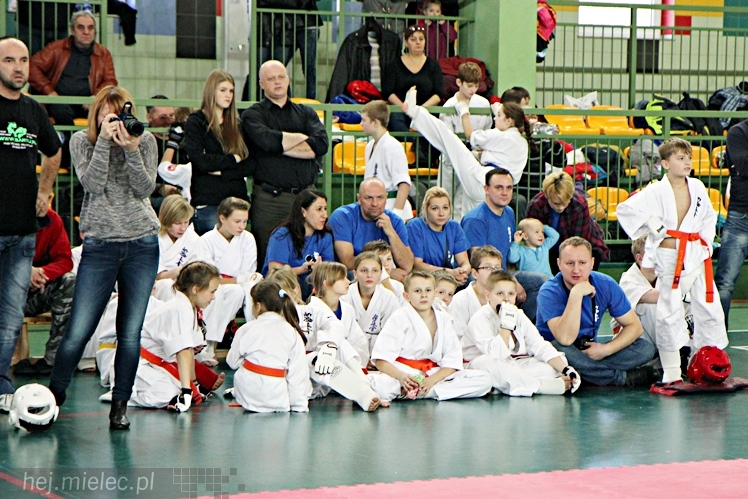 Otwarte Mistrzostwa Polski Południowej Full-Contact Karate