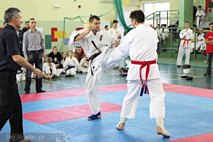 Otwarte Mistrzostwa Polski Południowej Full-Contact Karate