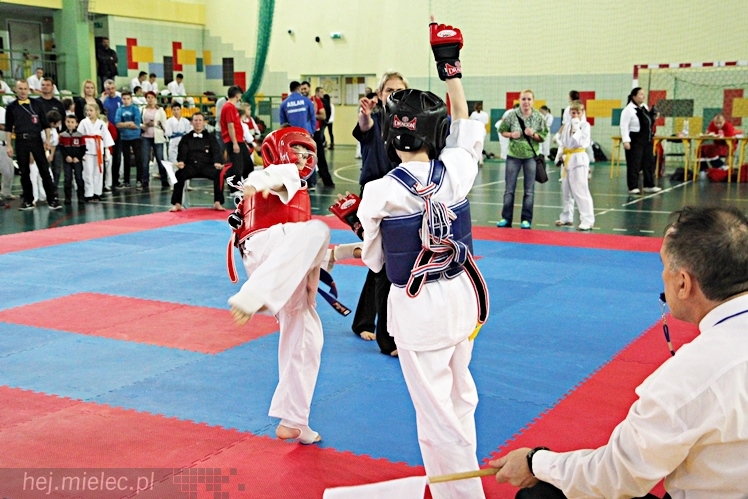 Otwarte Mistrzostwa Polski Południowej Full-Contact Karate