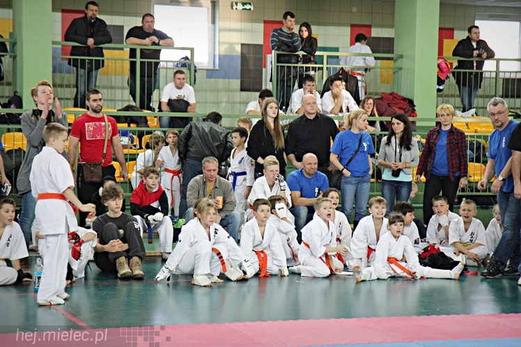 Otwarte Mistrzostwa Polski Południowej Full-Contact Karate