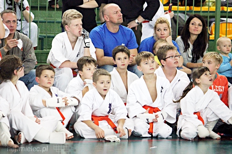 Otwarte Mistrzostwa Polski Południowej Full-Contact Karate