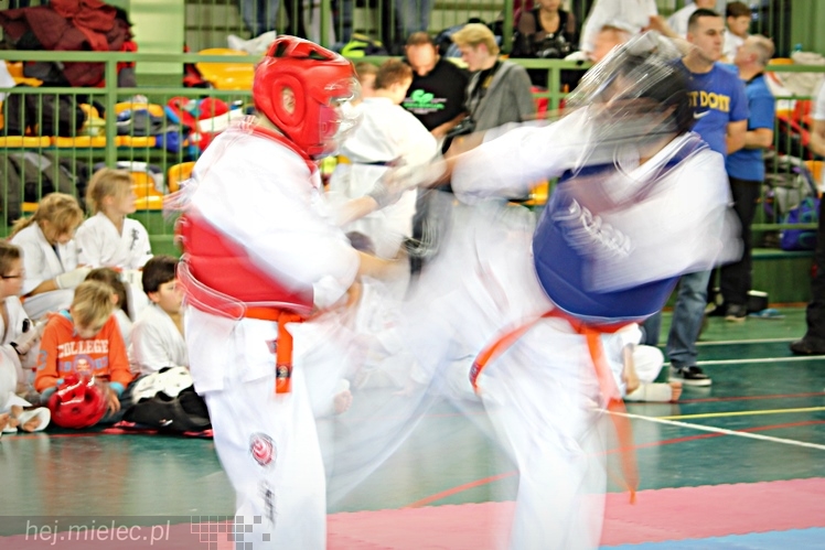 Otwarte Mistrzostwa Polski Południowej Full-Contact Karate