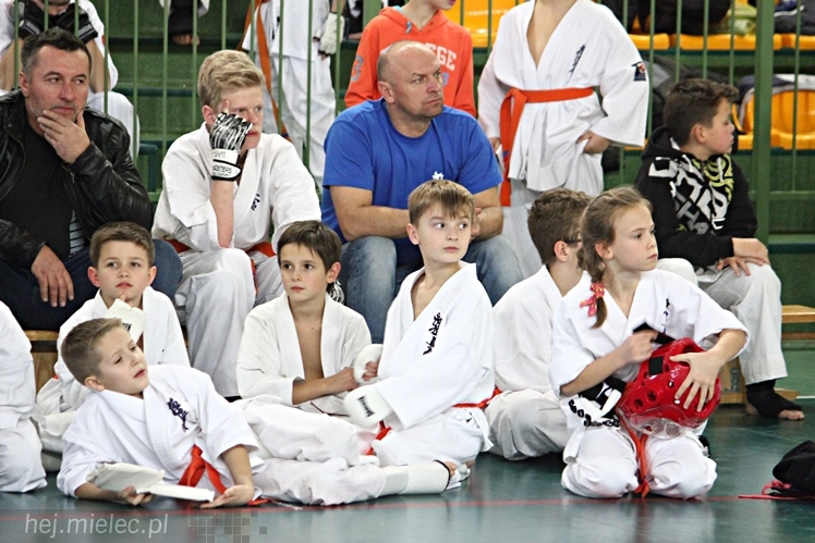 Otwarte Mistrzostwa Polski Południowej Full-Contact Karate