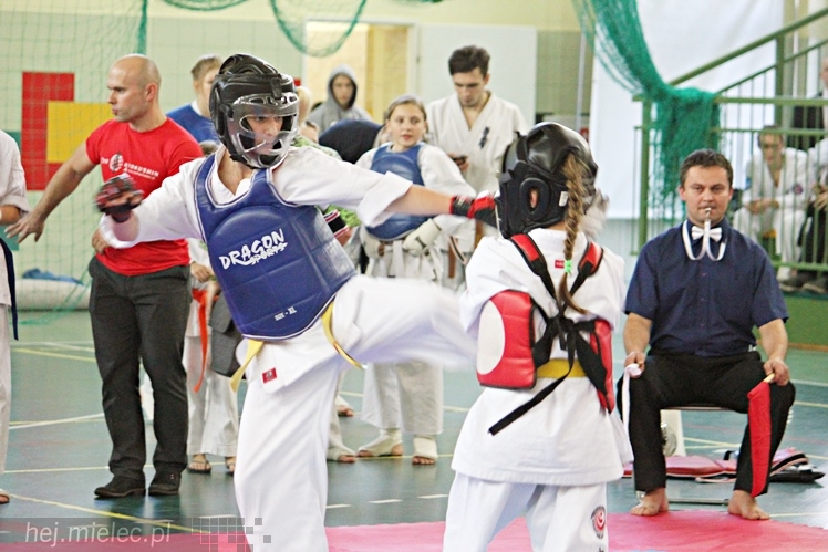 Otwarte Mistrzostwa Polski Południowej Full-Contact Karate