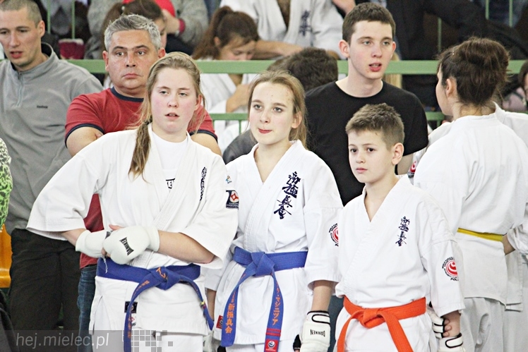 Otwarte Mistrzostwa Polski Południowej Full-Contact Karate