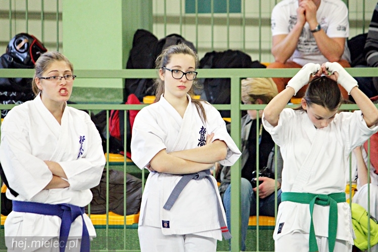 Otwarte Mistrzostwa Polski Południowej Full-Contact Karate