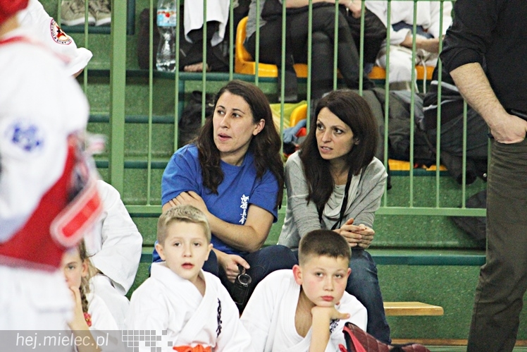 Otwarte Mistrzostwa Polski Południowej Full-Contact Karate